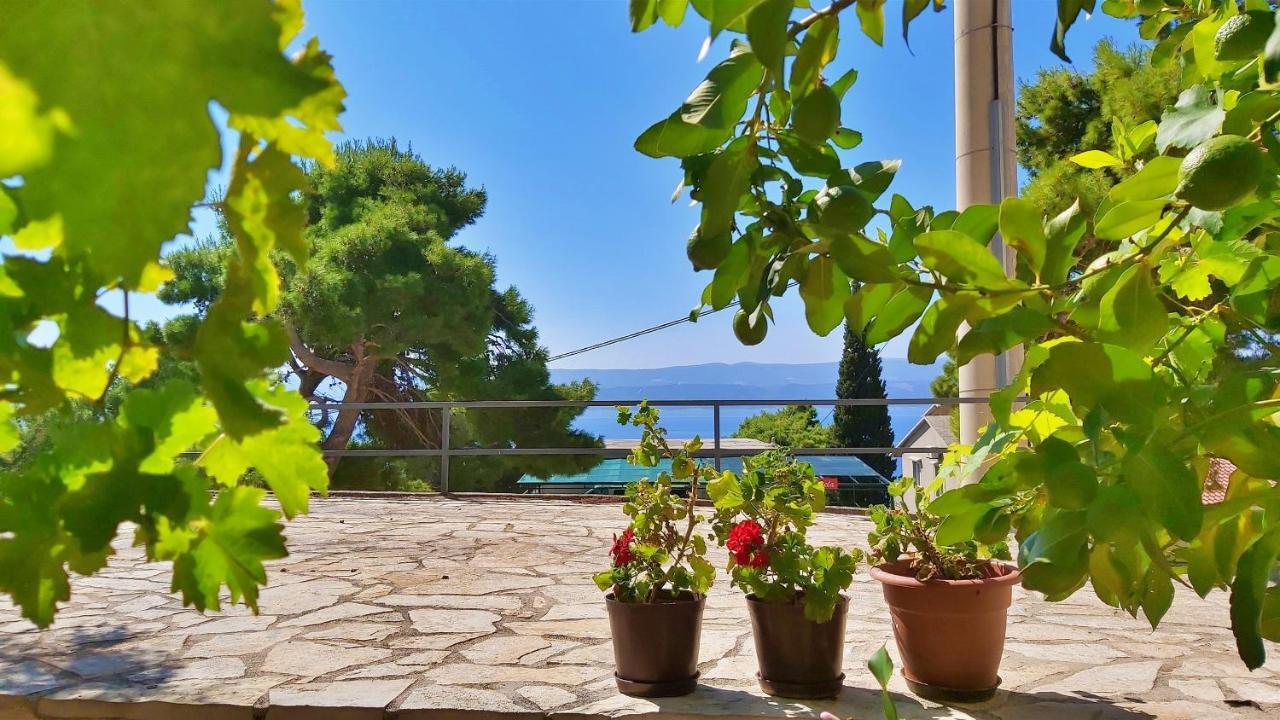 Apartments Gajo Omiš Esterno foto